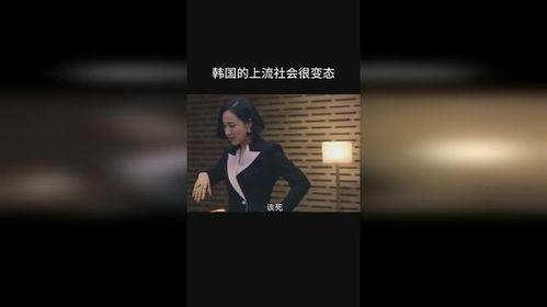 免费上流社会在线观看,在线观看的奢华盛宴  第1张